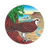 Stewards of the Coast and Redwoods